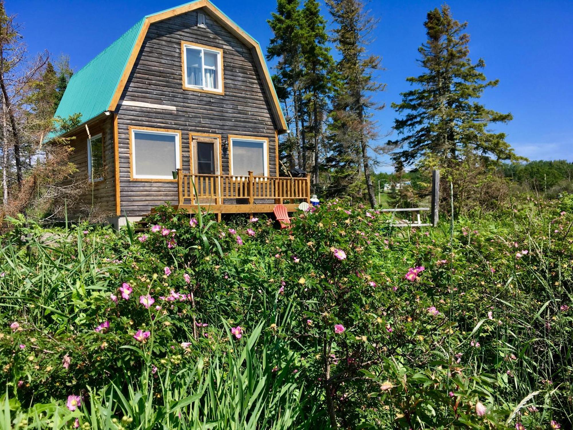 Chalets Du Bout Du Monde Gaspé Exteriör bild