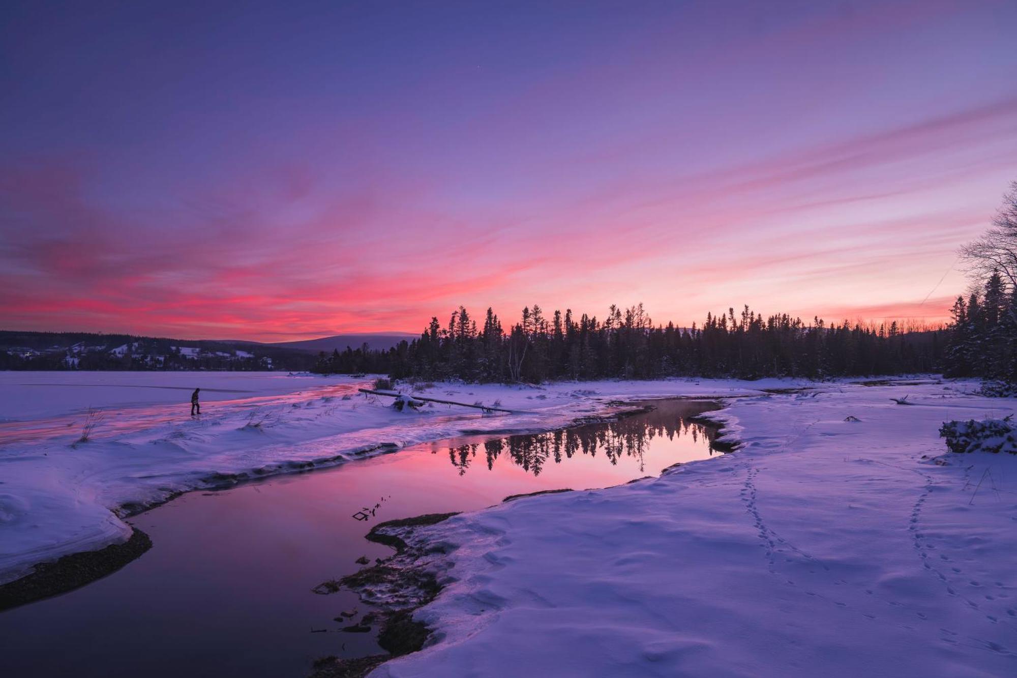 Chalets Du Bout Du Monde Gaspé Exteriör bild